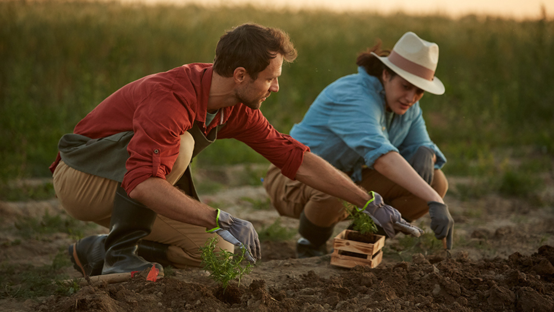 Two people planting saplings in a vegetable field, with a young man prominently working in the foreground.