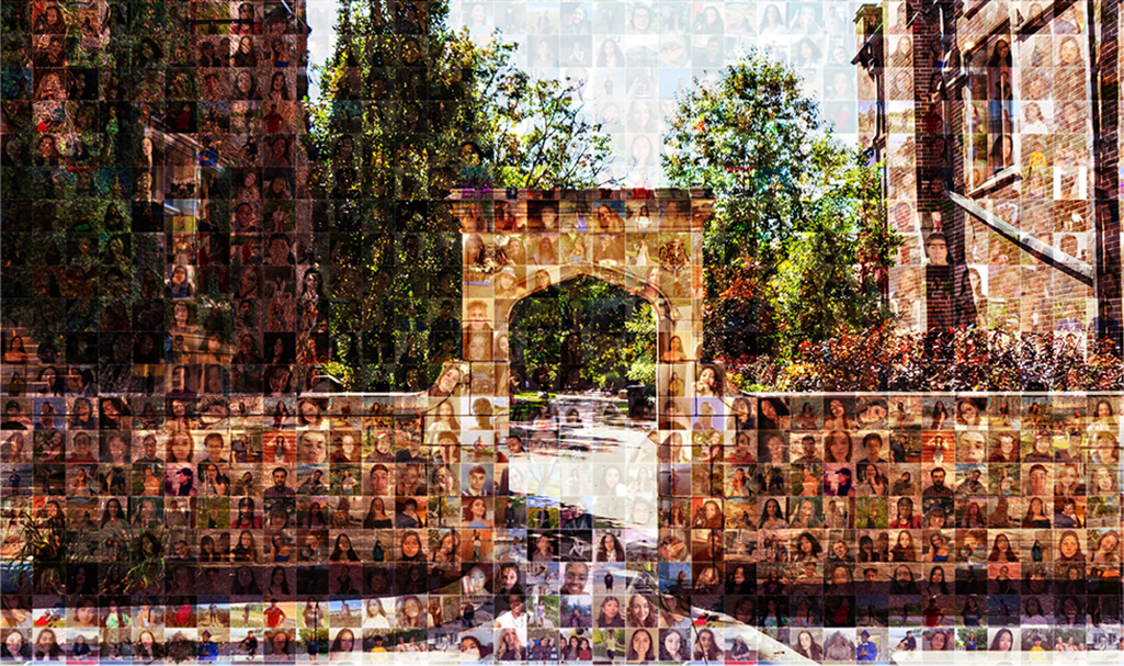 A vibrant collage of DeGroote student images layered over the Edwards Arc, highlighting community and engagement