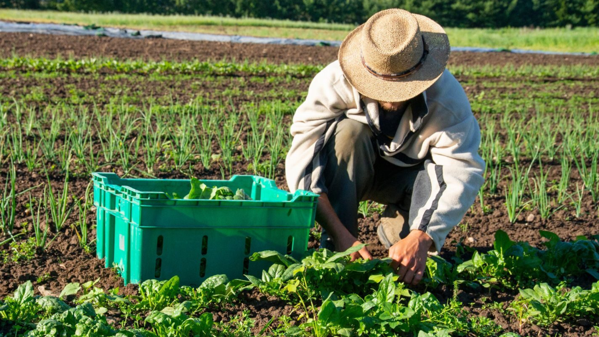 In the News: Opinion: Here’s Why Canada Needs Open Permits for Foreign Workers