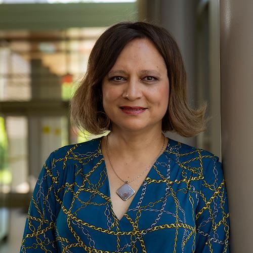 Headshot of Anna Danielova, a smiling woman with short hair, wearing a blue patterned blouse.