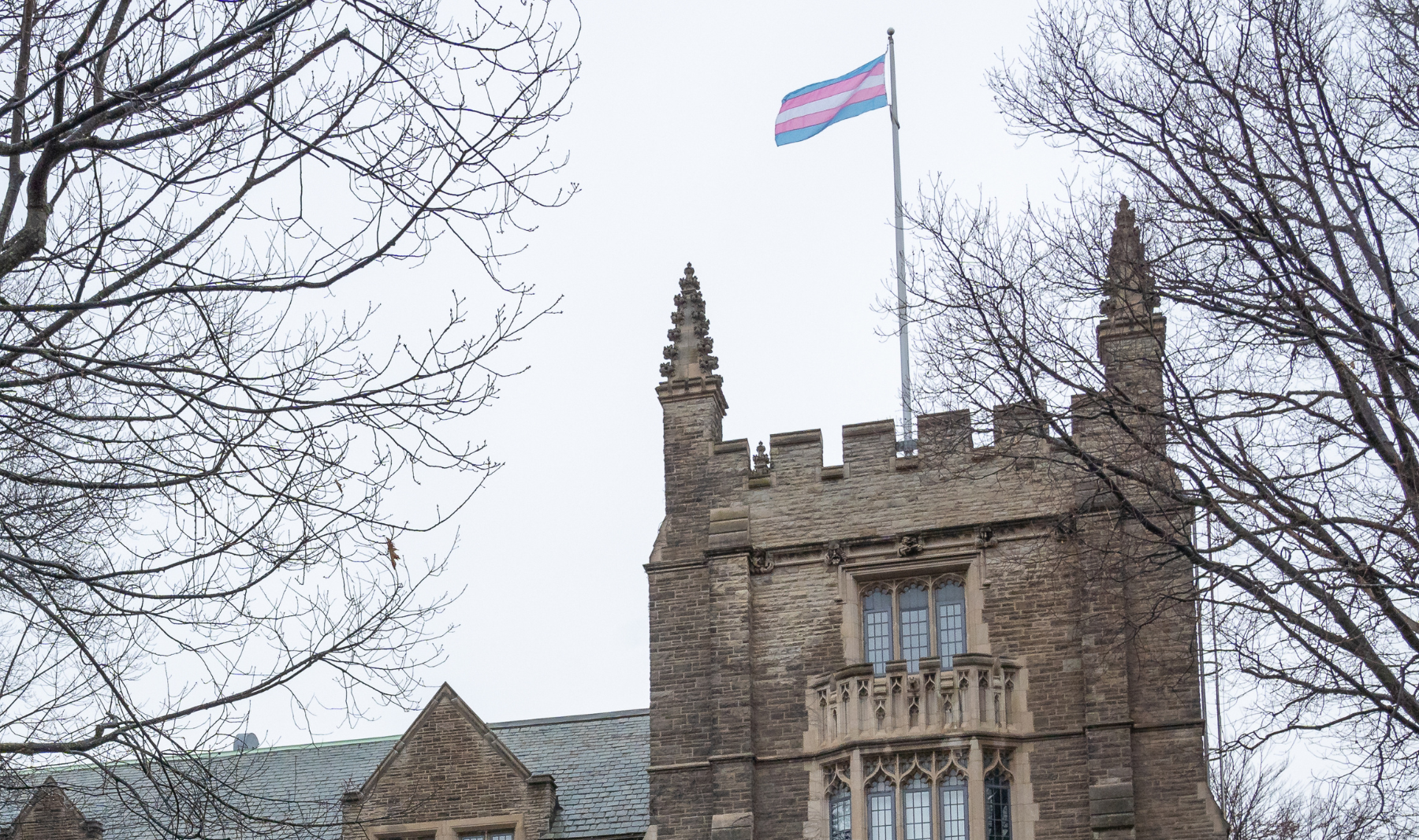 Trans flag on McMaster building